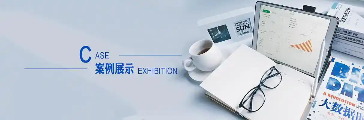 肇东市软件开发